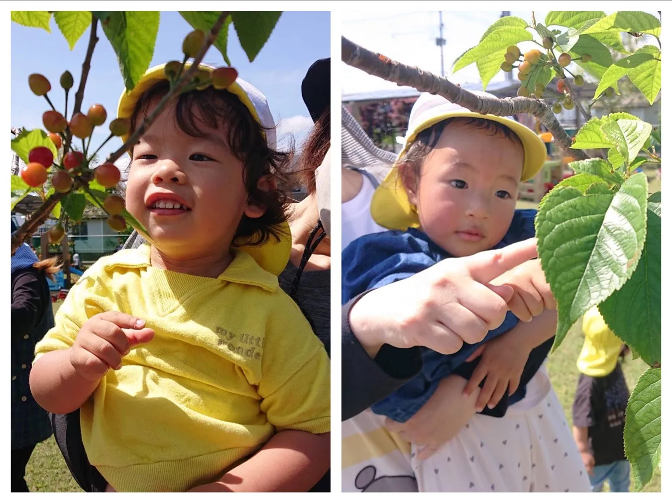 広場で遊ぼう（いちご組・りんご組）