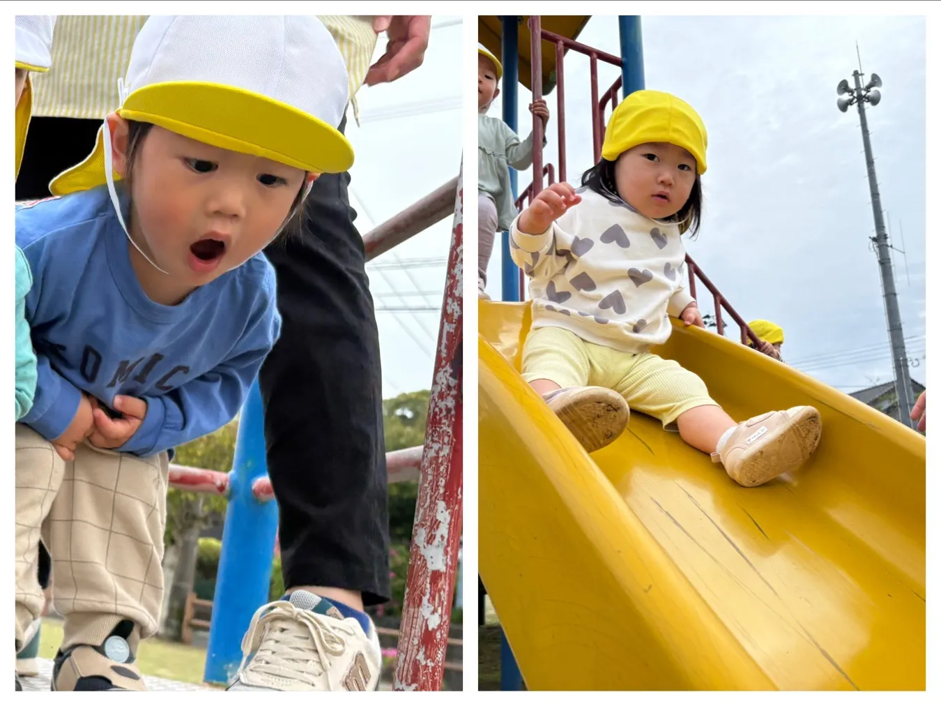 お散歩に行こう（いちご組・りんご組）