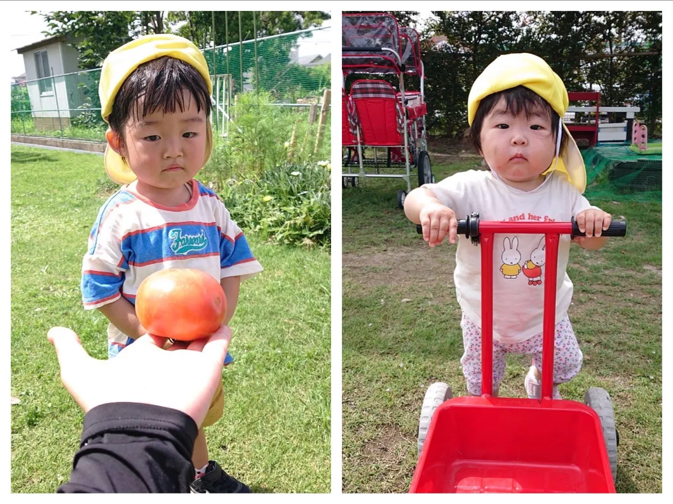 広場で遊ぼう（いちご組）