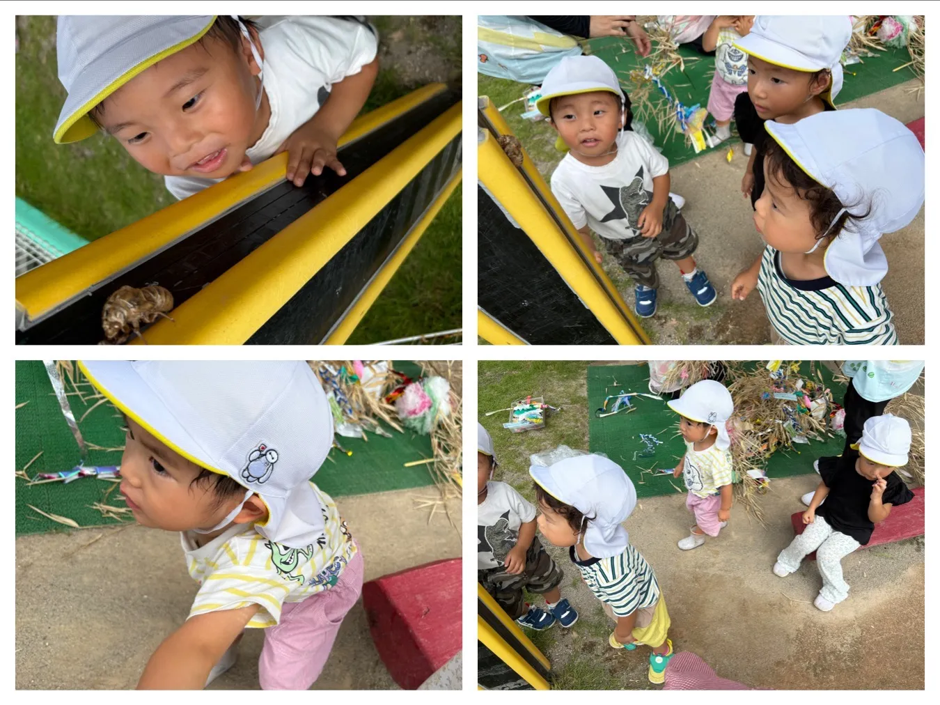 水遊びをしよう（りんご組）