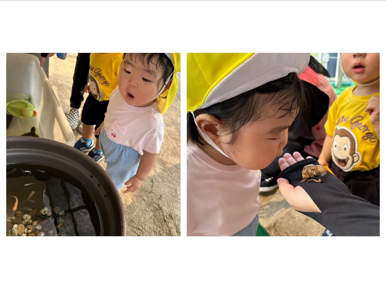 お庭で遊ぼう（いちご組）