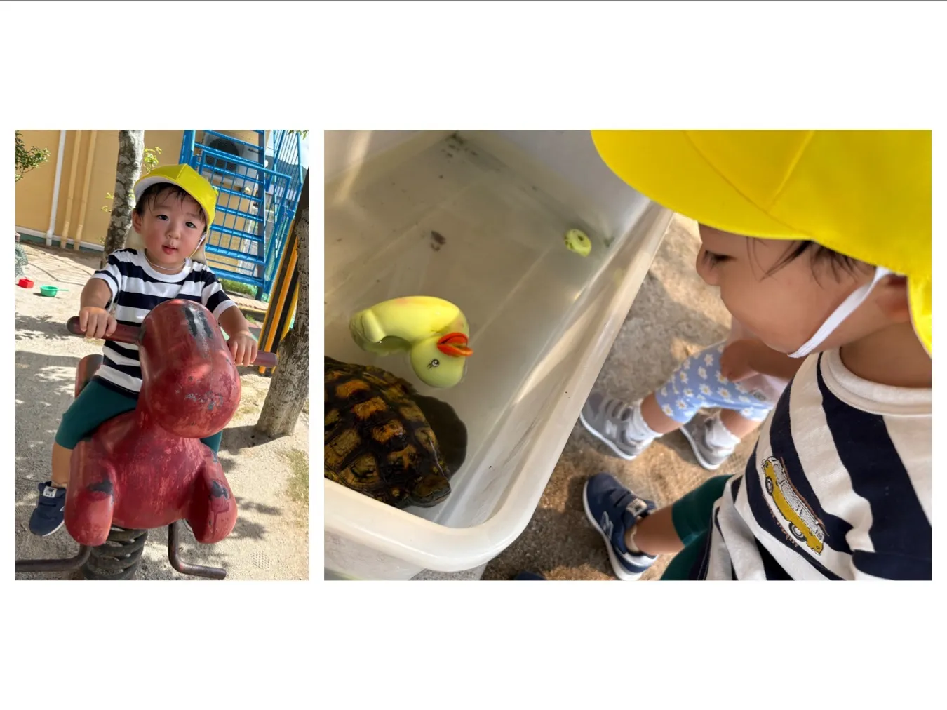 お庭で遊ぼう（いちご組）