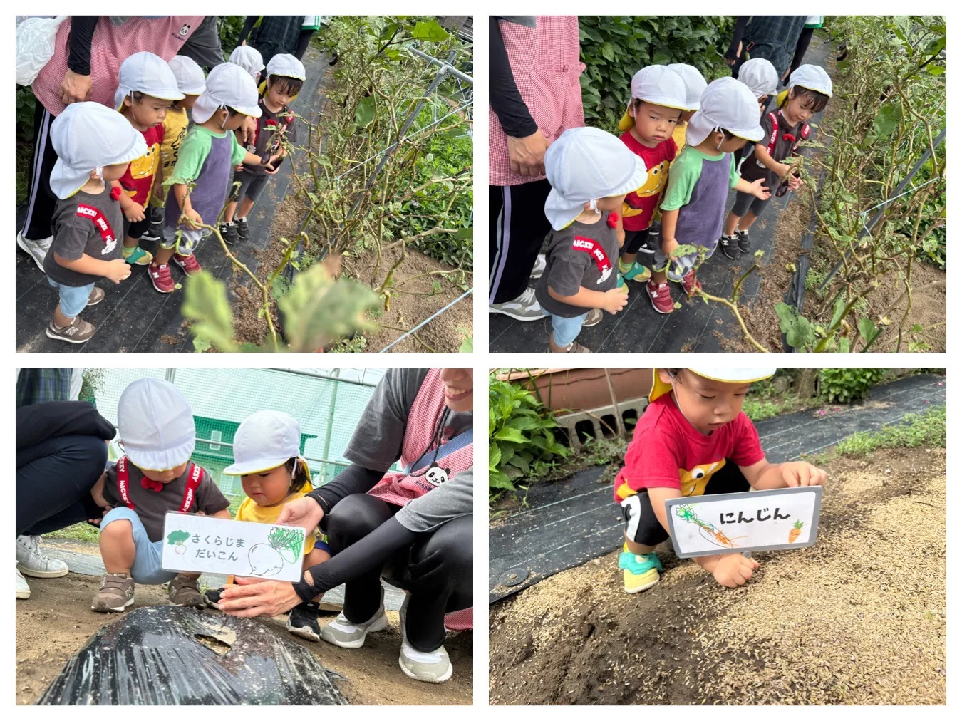 お散歩に行こう（にこにこ菜園）