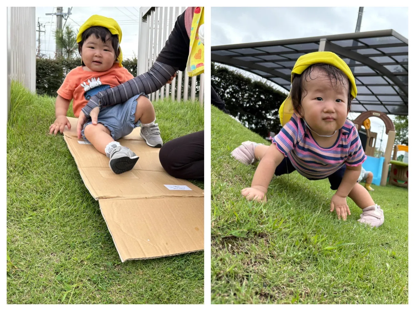 広場で遊ぼう/草スキーにチャレンジ（いちご組）