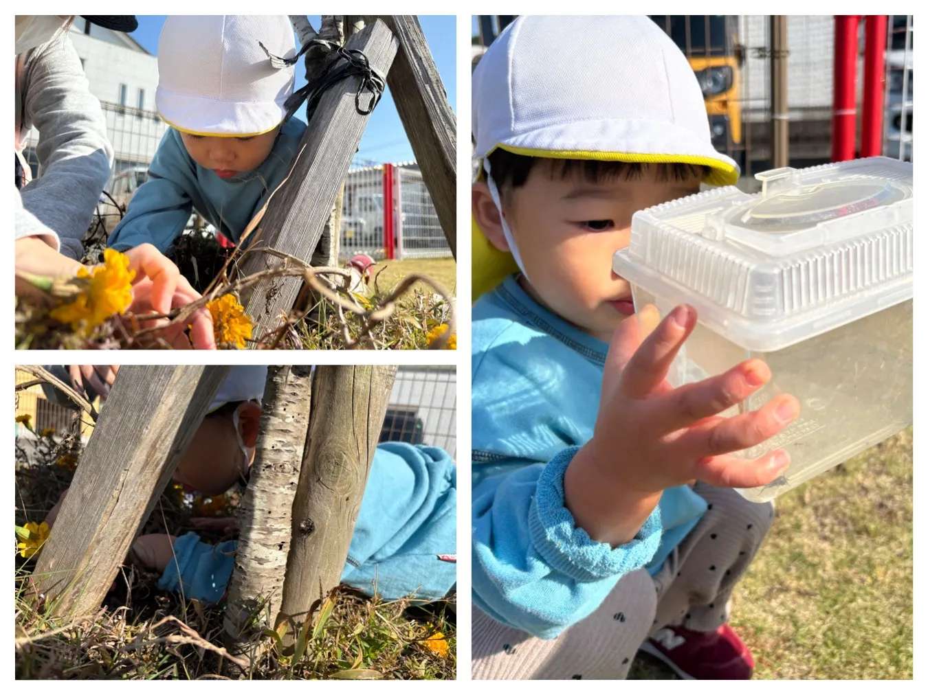 広場で遊ぼう（りんご組）