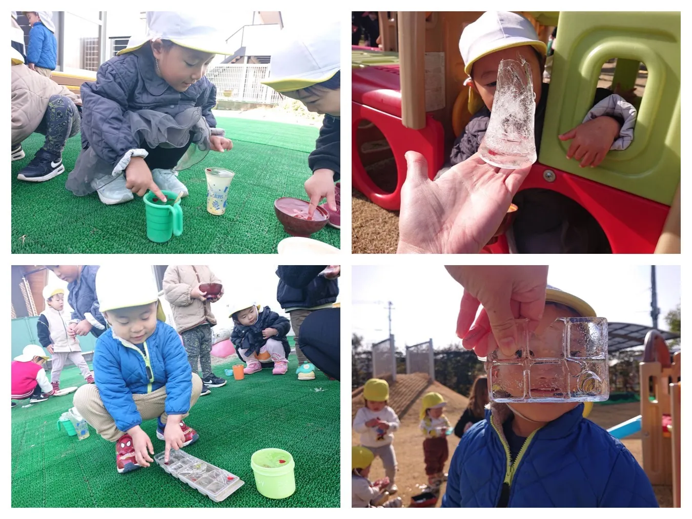 氷を作って観察しよう（りんご組）