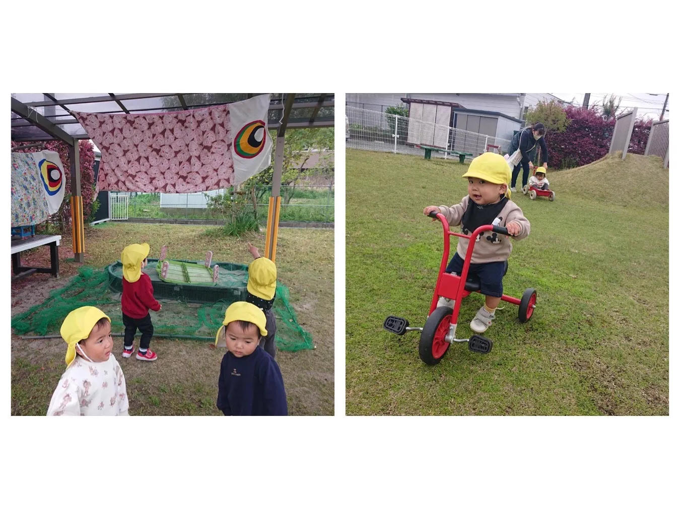 広場遊び/園児健康診断（いちご組）