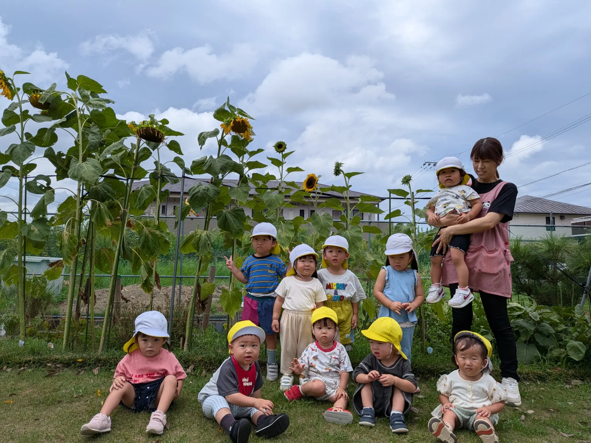 ひまわりと背比べ🌻（りんご組、いちご組）